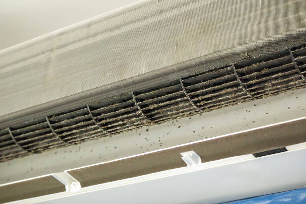 Best Affordable Air Duct Cleaning  in St Helena, CA